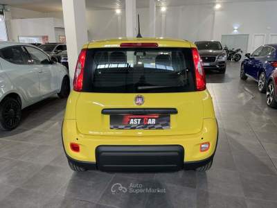 Fiat Panda 1.0 FireFly S&S Hybrid Pandina Giallo usata Occhiobello