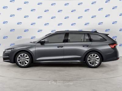 Skoda Octavia 2.0 TDI 85KW EXECUTIVE Grigio usata Pistoia