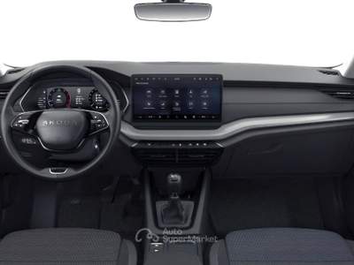 Skoda Octavia 2.0 TDI 85KW EXECUTIVE Grigio usata Pistoia