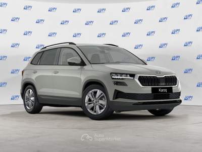 Skoda Karoq 2.0 TDI 85KW Executive usata Pistoia