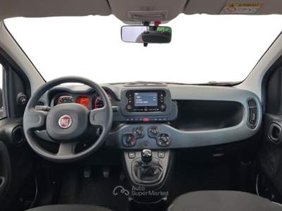 Fiat Panda III 2021 1.0 firefly hybrid s&s 70cv 5p.ti Grigio usata Torino