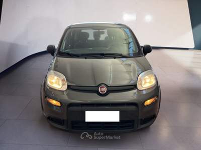Fiat Panda III 2021 1.0 firefly hybrid s&s 70cv 5p.ti Grigio usata Torino