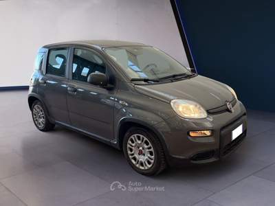 Fiat Panda III 2021 1.0 firefly hybrid s&s 70cv 5p.ti Grigio usata Torino