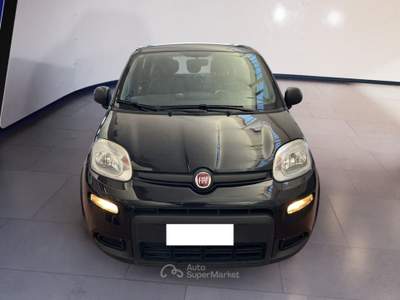 Fiat Panda III 2021 1.0 firefly hybrid s&s 70cv 5p.ti Nero usata Torino