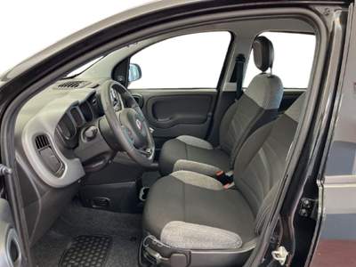 Fiat Panda III 2021 1.0 firefly hybrid s&s 70cv 5p.ti Nero usata Torino