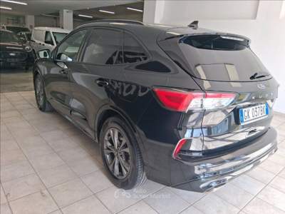 Ford Kuga 1.5 ecoblue ST-Line 2wd 120cv auto Nero usata Teramo