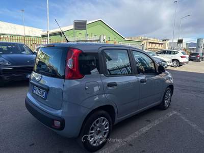 Fiat Panda easypower Gpl 69cv Grigio usata Lallio