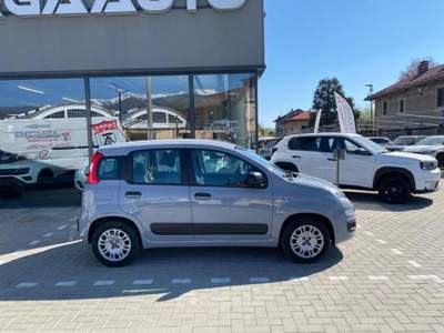 Fiat Panda 1.2 Easy easypower Gpl 69cv Grigio usata Pinerolo