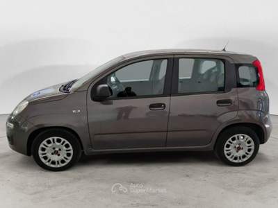 Fiat Panda 1.0 70cv S&S Hybrid E6d-T Easy FINO A 3 ANNI DI GARANZIA KM ILLIMITATI E 3 ANNI DI MANUTENZIONE ORDINARIA Grigio usata Salerno