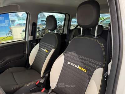 Fiat Panda Pandina 1.0 firefly hybrid s&s 70cv Bianco usata Piombino Dese