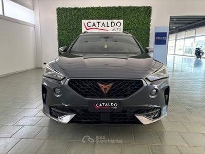 Cupra Formentor USATO GARANTITO Grigio usata Occhiobello