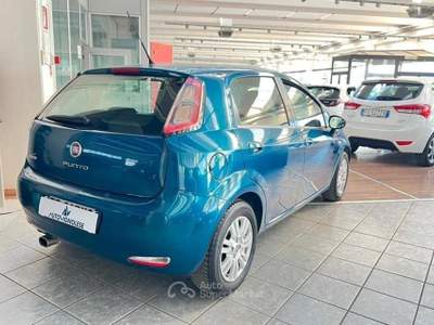 Fiat Punto 1.3 MJT II S&S 95 CV 5 porte Lounge - CRUISE Blu/Azzurro usata Vignola