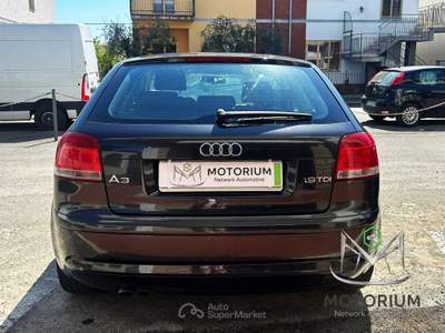 Audi A3 A3 1.9 TDI AMBITION Grigio usata Campi Bisenzio