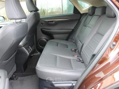 Lexus NX Hybrid Bianco usata Trebaseleghe