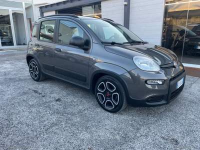Fiat Panda Panda 1.0 FireFly S&S Hybrid Grigio usata Mesagne