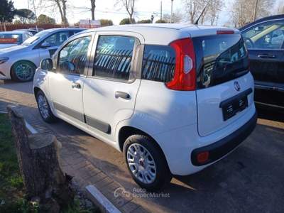 Fiat Panda ADATTA A NEOPATENTATI, COME NUOVA Bianco usata Aprilia