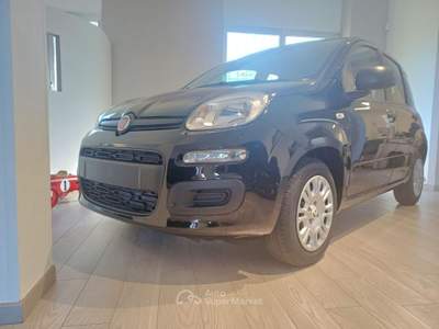 Fiat Pandina POP  *ADAS Nero usata Domodossola