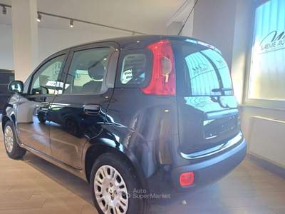Fiat Pandina POP  *ADAS Nero usata Domodossola