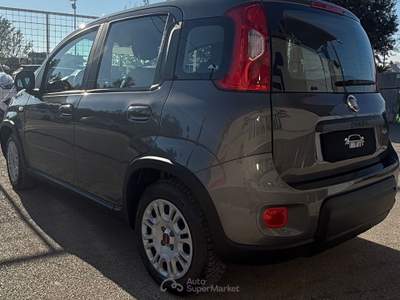 Fiat Panda Gpl di serie usata Marcianise