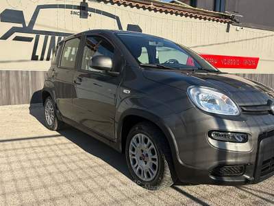 Fiat Panda Gpl di serie usata Marcianise