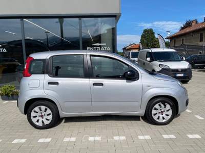 Fiat Panda 1.2 Easy 69cv Argento usata Pinerolo
