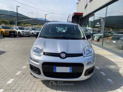 Fiat Panda 1.2 Easy 69cv Argento usata Pinerolo