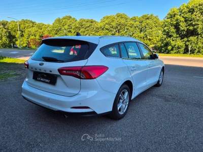 Ford Focus Focus 1.5 EcoBlue 120 CV automatico SW Business Co-Pilot Bianco usata Ferrara