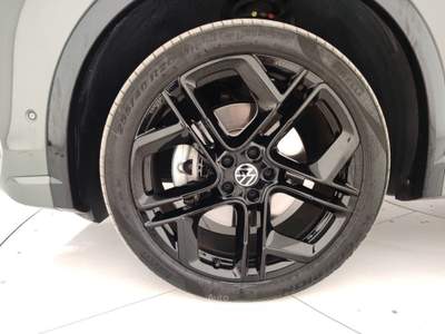 Volkswagen Tiguan 2.0 TDI 142KW SCR R-Line Plus DSG 4M Verde usata Massa