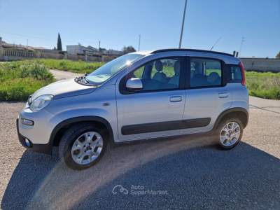 Fiat Panda Turbo Natural Power Trekking Argento usata Gravina in Puglia