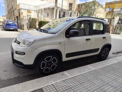 Fiat Panda FireFly S&S Hybrid City Life Bianco usata CORATO