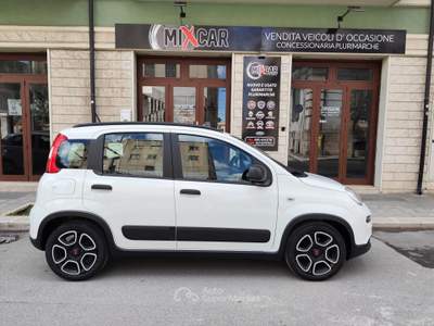Fiat Panda FireFly S&S Hybrid City Life Bianco usata CORATO