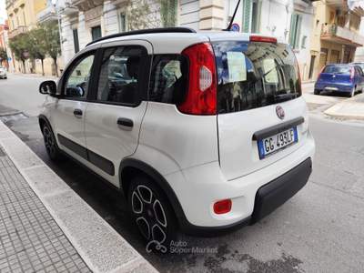 Fiat Panda FireFly S&S Hybrid City Life Bianco usata CORATO
