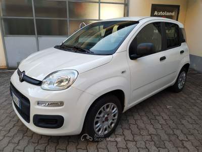 Fiat Panda 69 CV EASY Bianco usata PORTE