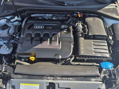 Audi A3 A3 III 2013 Sportback Sportback 1.6 tdi Ambition s-tronic Bianco usata Massa
