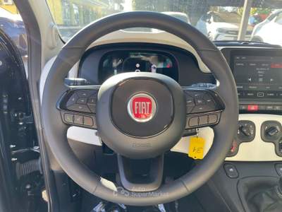 Fiat Panda Pandina CROSS 1.0 FireFly S&S Hybrid 70CV Nero usata Aprilia
