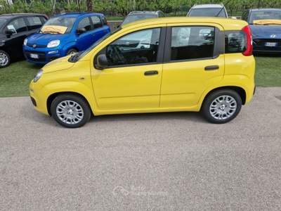 Fiat Pandina 1.0 FireFly 65 CV Hybrid Pop Giallo usata Arco