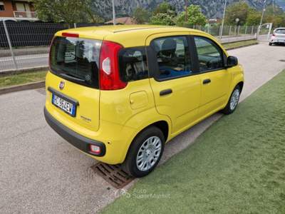 Fiat Pandina 1.0 FireFly 65 CV Hybrid Pop Giallo usata Arco