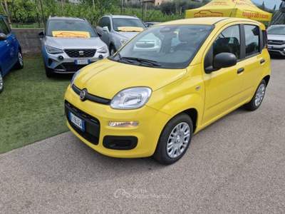 Fiat Pandina 1.0 FireFly 65 CV Hybrid Pop Giallo usata Arco