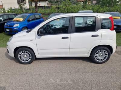 Fiat Pandina 1.0 FireFly 65 CV Hybrid Pop Bianco usata Arco