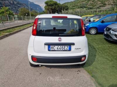 Fiat Pandina 1.0 FireFly 65 CV Hybrid Pop Bianco usata Arco