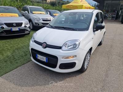 Fiat Pandina 1.0 FireFly 65 CV Hybrid Pop Bianco usata Arco