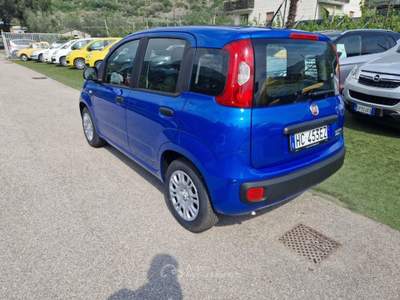 Fiat Pandina 1.0 FireFly 65 CV Hybrid Pop Blu/Azzurro usata Arco