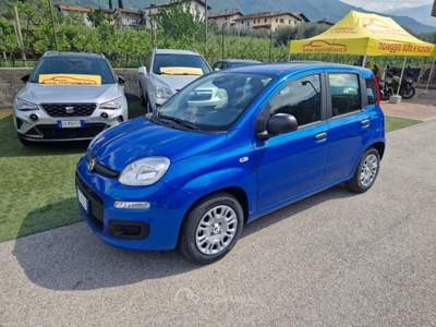 Fiat Pandina 1.0 FireFly 65 CV Hybrid Pop Blu/Azzurro usata Arco
