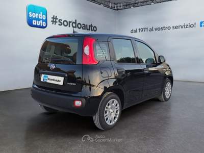 Fiat Pandina 1.0 FireFly 65 CV Hybrid Icon Nero usata Castagnaro