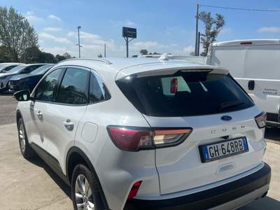 Ford Kuga 1.5 TDCi Automatica Titanium Bianco usata Pomezia