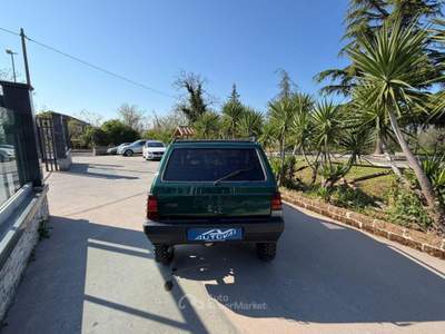 Fiat Panda 1100 i.e. 4x4 Country Club usata Campagna