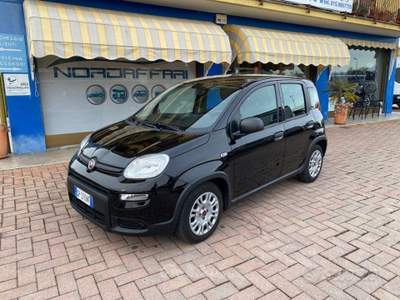 Fiat Panda FireFly S&S Hybrid usata Brusnengo