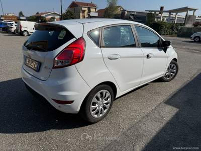 Ford Fiesta Fiesta 1.5 TDCi 75 CV 5p. Bianco usata Rivalta di Torino