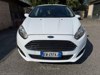Ford Fiesta Fiesta 1.5 TDCi 75 CV 5p. Bianco usata Rivalta di Torino