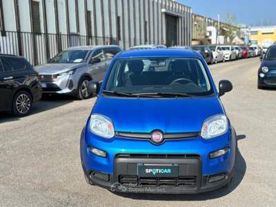 Fiat Panda PROMO 1.0 firefly hybrid s&amp;s 70cv Blu/Azzurro usata Borgo San Lorenzo